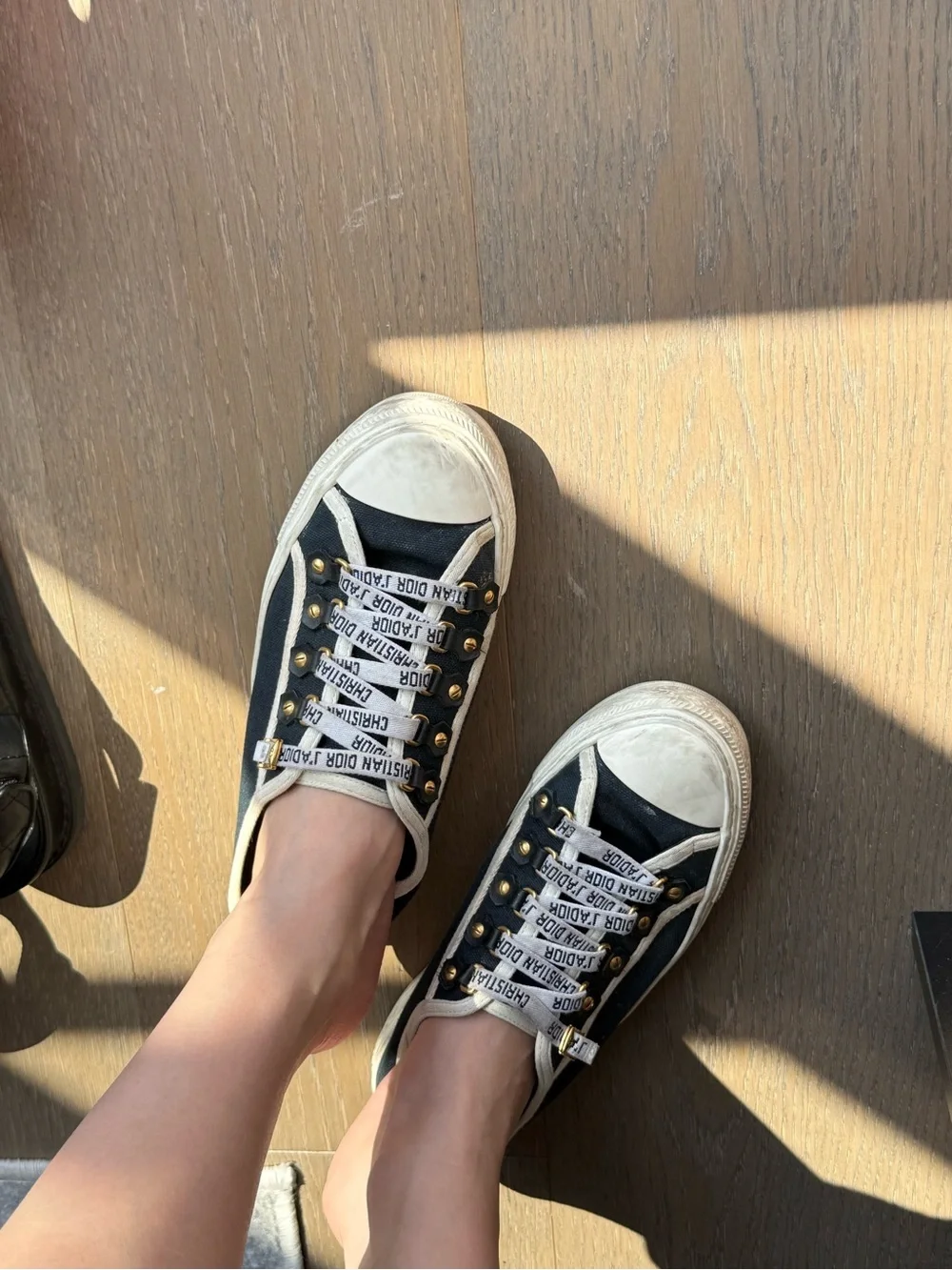Dior Black and White Classic Sneakers